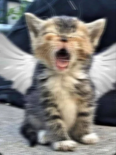 Стикер стики тут👉 @aesthetic2k17 - 9