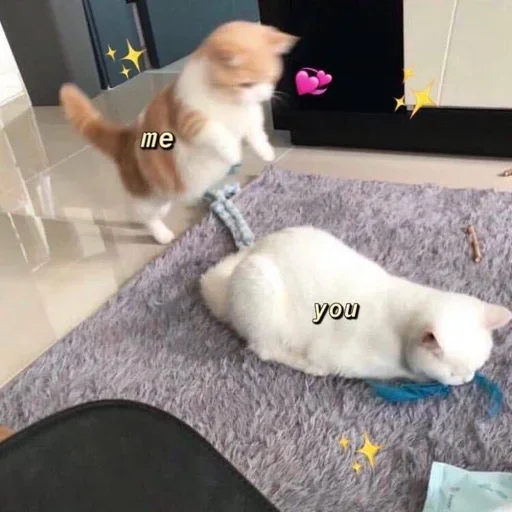 Стикер стики тут👉 @aesthetic2k17 - 7