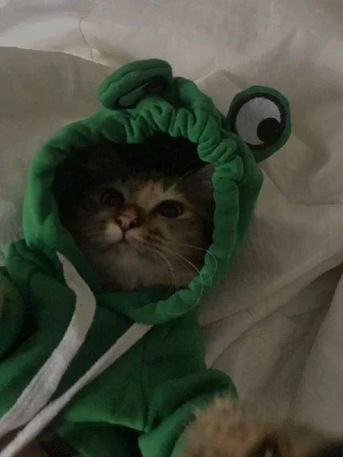 Стикер стики тут👉 @aesthetic2k17 - 6