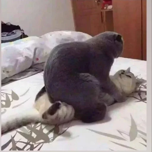 Стикер стики тут👉 @aesthetic2k17 - 4