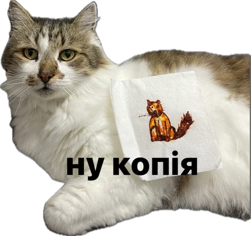 Sticker kotikandpesik - 1