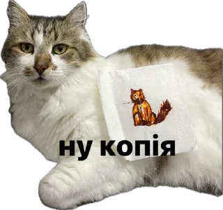 Стикер kotikiandpesiki - 1