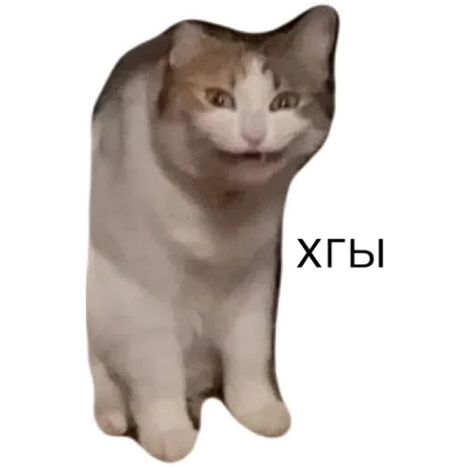 Sticker котики - 9