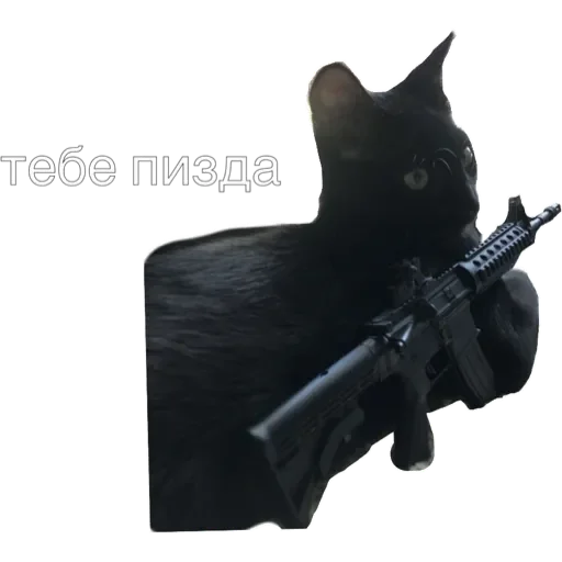 Sticker котики - 7