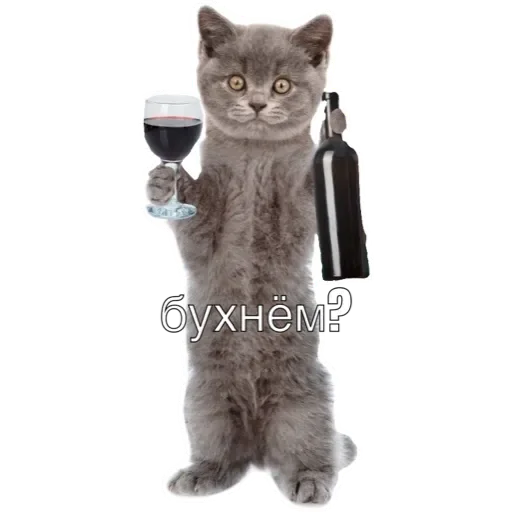 Sticker котики - 6