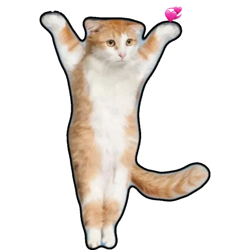 Sticker котики - 4