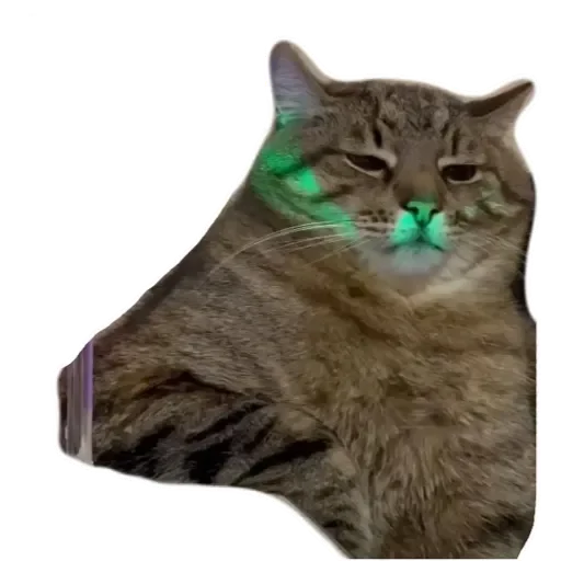 Sticker котики - 3