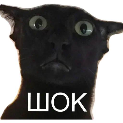 Sticker котики - 2