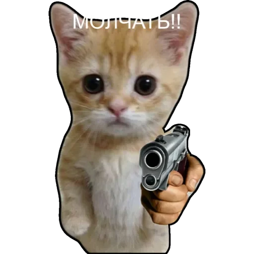 Sticker котики - 1