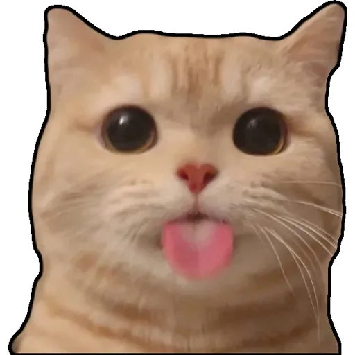 Sticker котики - 0