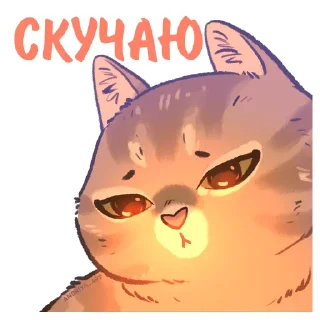 Стикер Котики и фразочки @kotiki_i_frazochki - 1