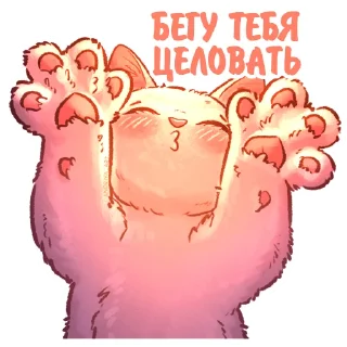 Стикер Котики и фразочки @kotiki_i_frazochki - 5