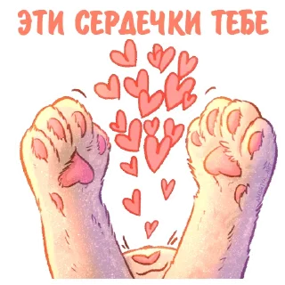 Стикер Котики и фразочки @kotiki_i_frazochki - 6