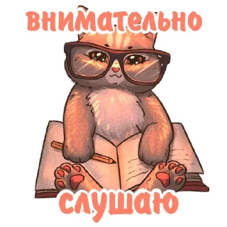 Стикер Котики и фразочки 2 @kotiki_i_frazochki - 4