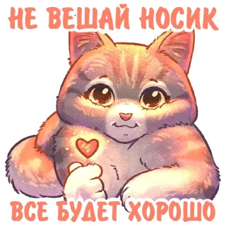 Стикер Котики и фразочки 2 @kotiki_i_frazochki - 5
