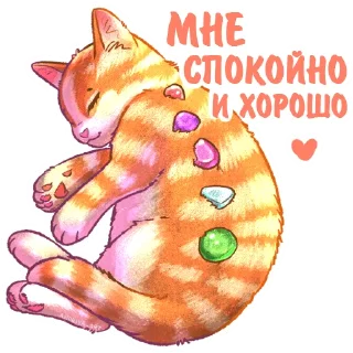 Стикер Котики и фразочки 2 @kotiki_i_frazochki - 11
