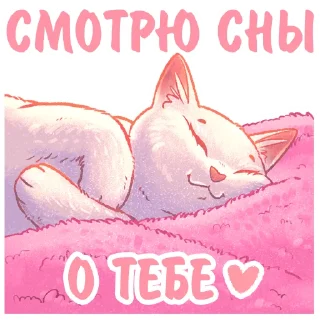 Sticker Котики и фразочки 3 @kotiki_i_frazochki - 1