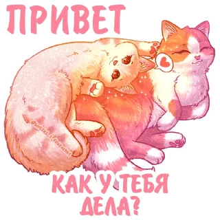 Sticker Котики и фразочки @kotiki_i_frazochki Любовь - 2