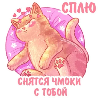 Sticker Котики и фразочки @kotiki_i_frazochki Любовь - 1
