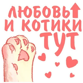 Стикер Котики • @TgStickery - 4