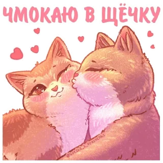 Стикер Котики • @TgStickery - 10