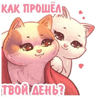 Стикер Котики • @TgStickery - 2