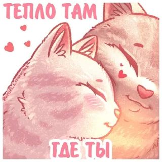 Стикер Котики • @TgStickery - 5