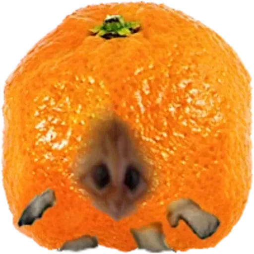 котики жмыхотики - 