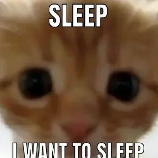 Стикер @weyshinstays | @meowxluv 🫣 - 6