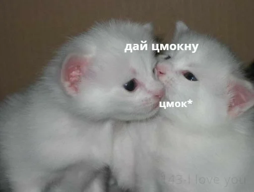 Стикер баджи тронешь моих котиков, я тебя трахну - 8