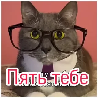 Стикер Kotiyнетий - 9