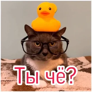 Стикер Kotiyнетий - 4