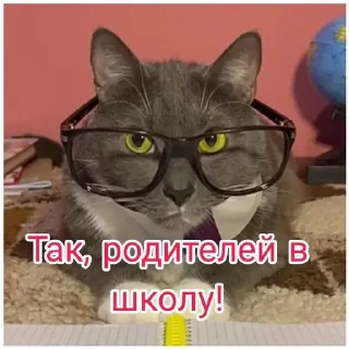 Стикер Kotiyнетий - 1