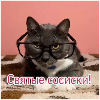 Стикер Kotiyнетий - 11