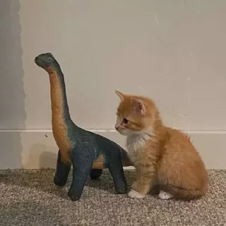 Sticker котики by @inooop <3 - 6