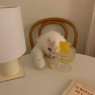 Sticker котики by @inooop <3 - 7