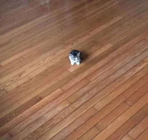 building laminate flooring wood flooring