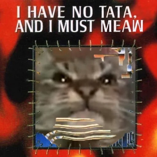 котики в животике - animal