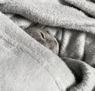 Sticker ; κ᧐ᴛᥙκᥙ  ࣪ ˖ @wexsavi ♡ - 11