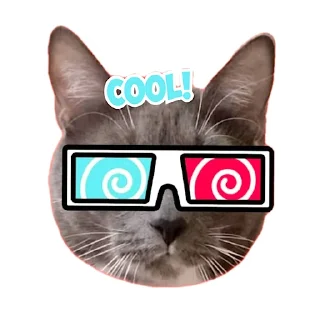 Sticker kotiynet - 2