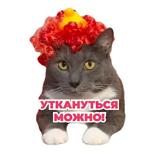 Sticker kotiynet - 7