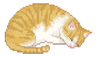 Стикер Котизм - 1