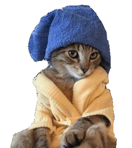 кошка мех млекопитающее