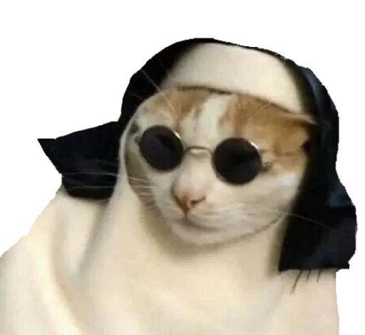 солнечные очки кошки малого и среднего размера животное