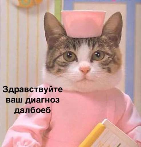 кошки малого и среднего размера СМС кошка