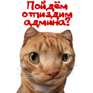 Стикер Kotobormot - 4