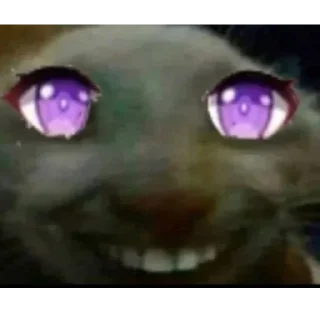 Sticker коты@renasaza - 1