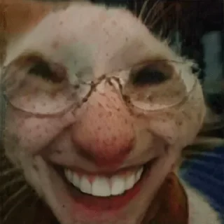 Sticker коты@renasaza - 10