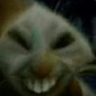 Sticker коты@renasaza - 8