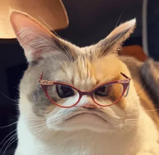 Sticker котолізація - 3